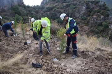 YK Enerji son 3 yılda 1 milyonu aşkın fidanı toprakla buluşturdu
