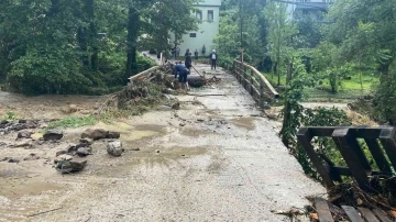 Yoğun yağış nedeniyle yedi emin deposunda araçlar suya gömüldü
