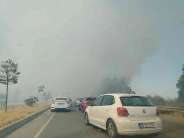 Yol kenarında çıkan yangın, sürücülere zor anlar yaşattı
