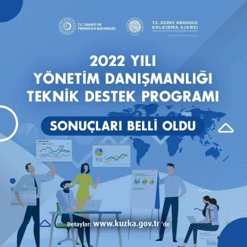 Yönetim Danışmanlığı Teknik Destek Programı sonuçları belli oldu
