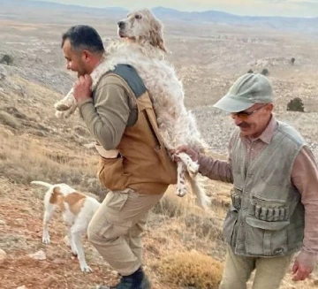 Yorulan köpeğini 5 kilometre sırtında taşıdı
