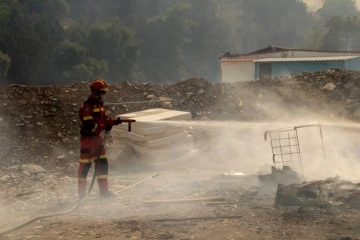 Yunanistan orman yangınlarıyla boğuşuyor
