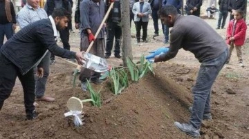 Yunanistan, Türk işçinin cenazesini 40 gün alıkoydu!