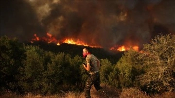Yunanistan'daki orman yangınlarında 9. gün