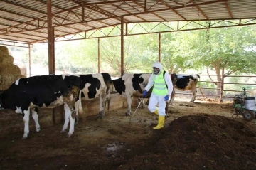 Yüreğir Belediyesi, kırsal mahallelerde vektörle mücadele çalışması başlattı
