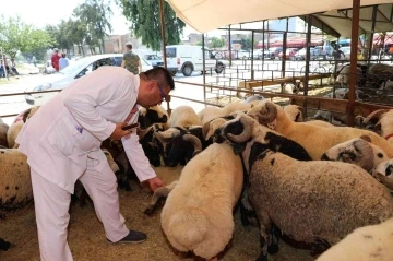 Yüreğir’de kurban satış ve kesim yerleri belirlendi
