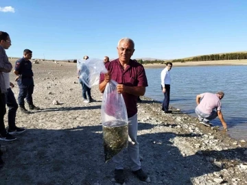 Yüz bin adet sazan yavrusu göletlere bırakıldı
