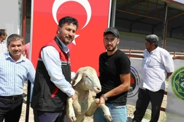 Yüzde 50 hibeli damızlık 44 koç çekilişle sahiplerini buldu
