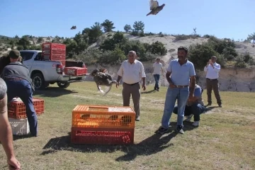 Yüzlerce çil keklik doğaya salındı
