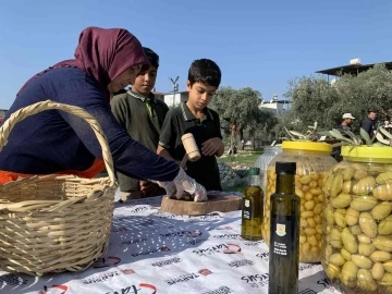 Zeytin gen bahçesi okullara ev sahipliği yapıyor
