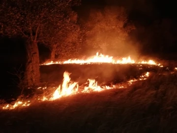 Zeytinlik alandaki örtü yangını söndürüldü
