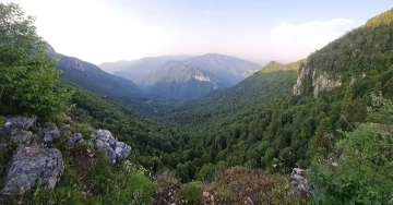 Zonguldak, Bartın ve Karabük’te ormanlık alanlara giriş çıkışlar sınırlandırıldı
