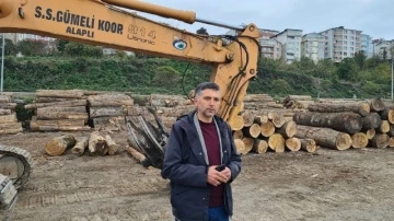 Zonguldak’ın orman ürünlerini 7 ülkeye ihraç ediyorlar
